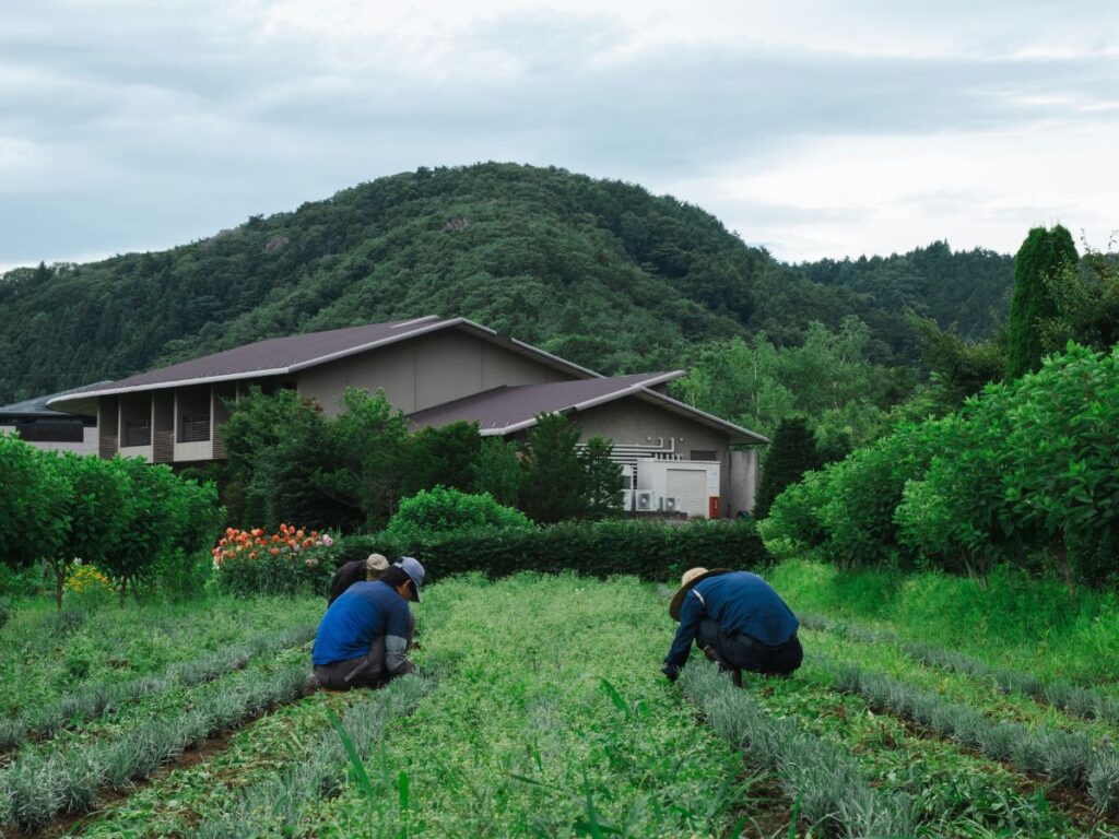 畑で農作業を行う研修風景
