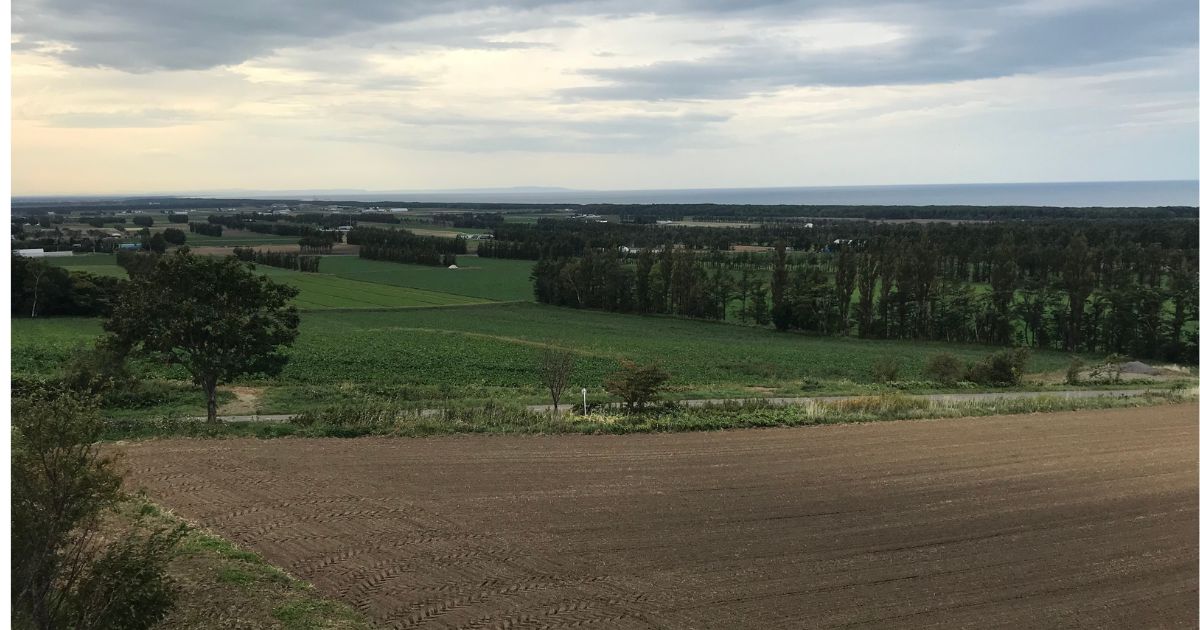 北海道の大規模農地の風景