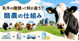 乳牛の種類と酪農の仕組みを解説する記事アイキャッチ