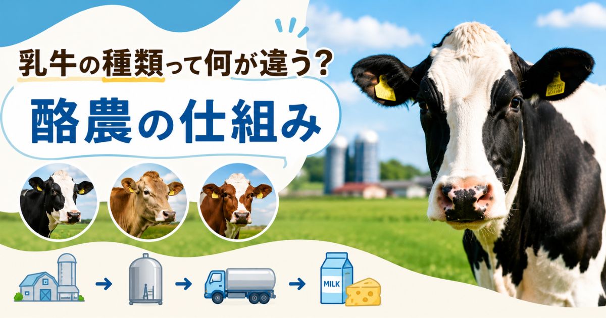 乳牛の種類と酪農の仕組みを解説する記事アイキャッチ