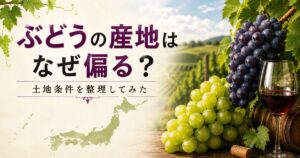 ぶどう産地の偏りと土地条件を解説する記事アイキャッチ