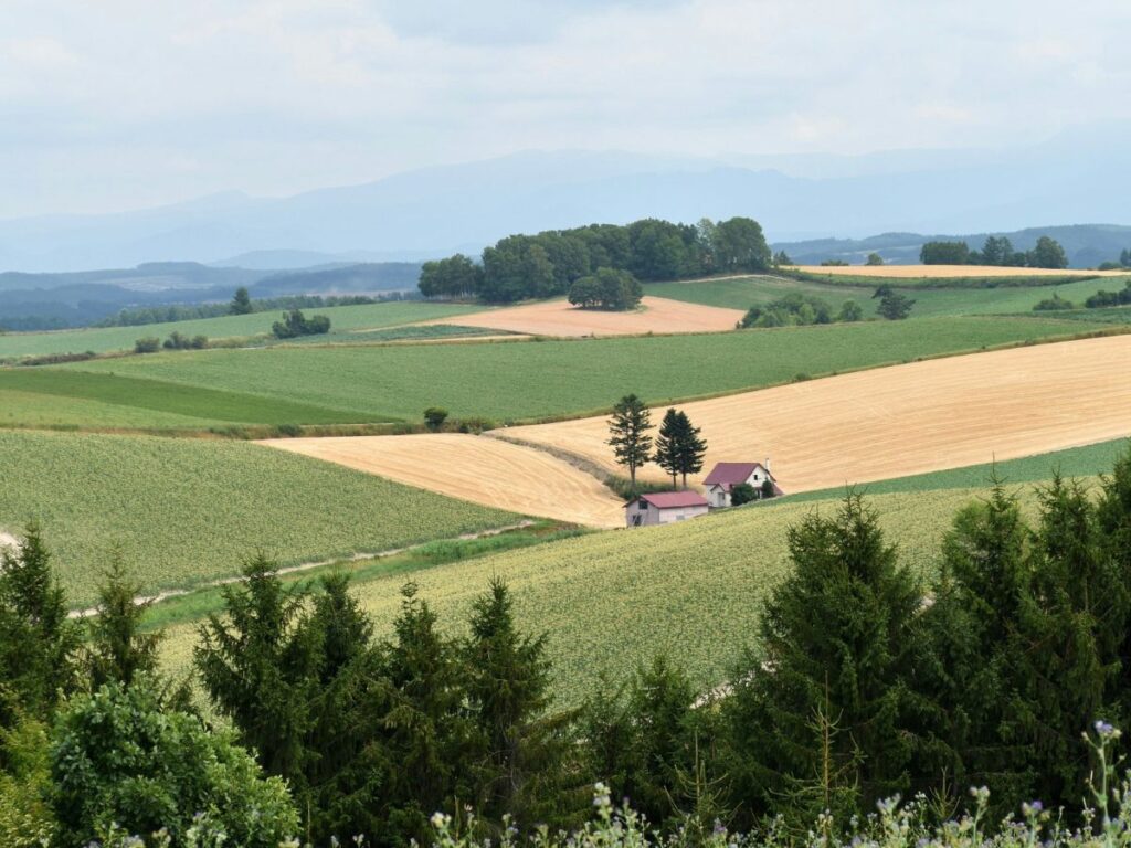 北海道の広大な農地と丘陵風景