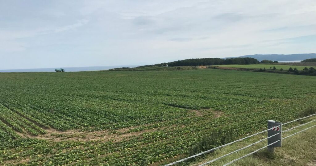 北海道の広大な農地