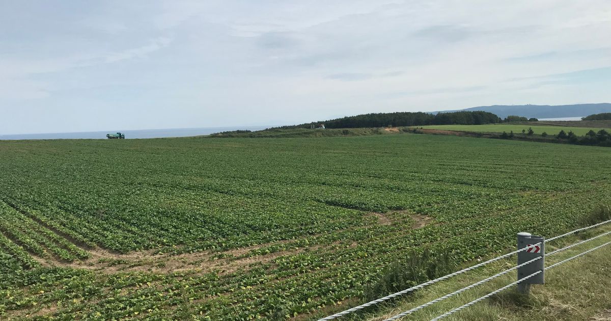 北海道の広大な農地