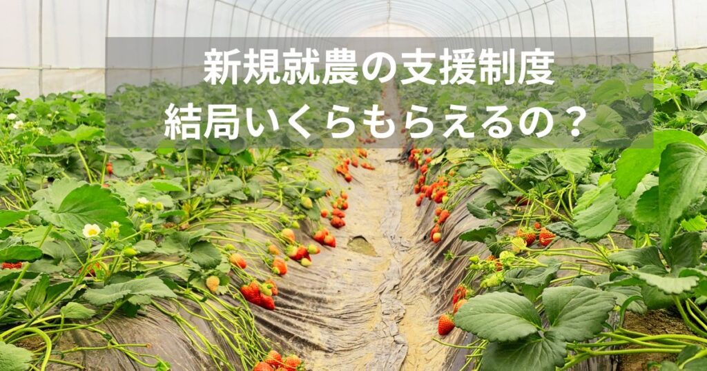 新規就農支援の制度
