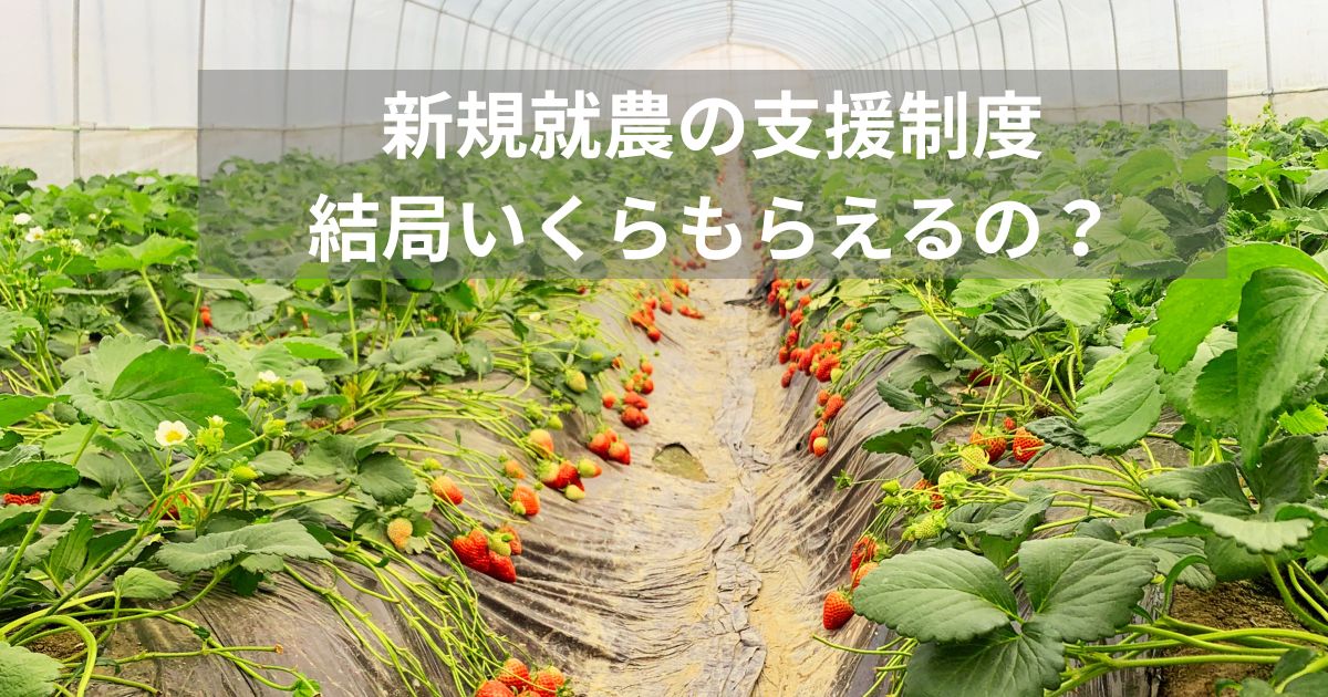 新規就農支援の制度