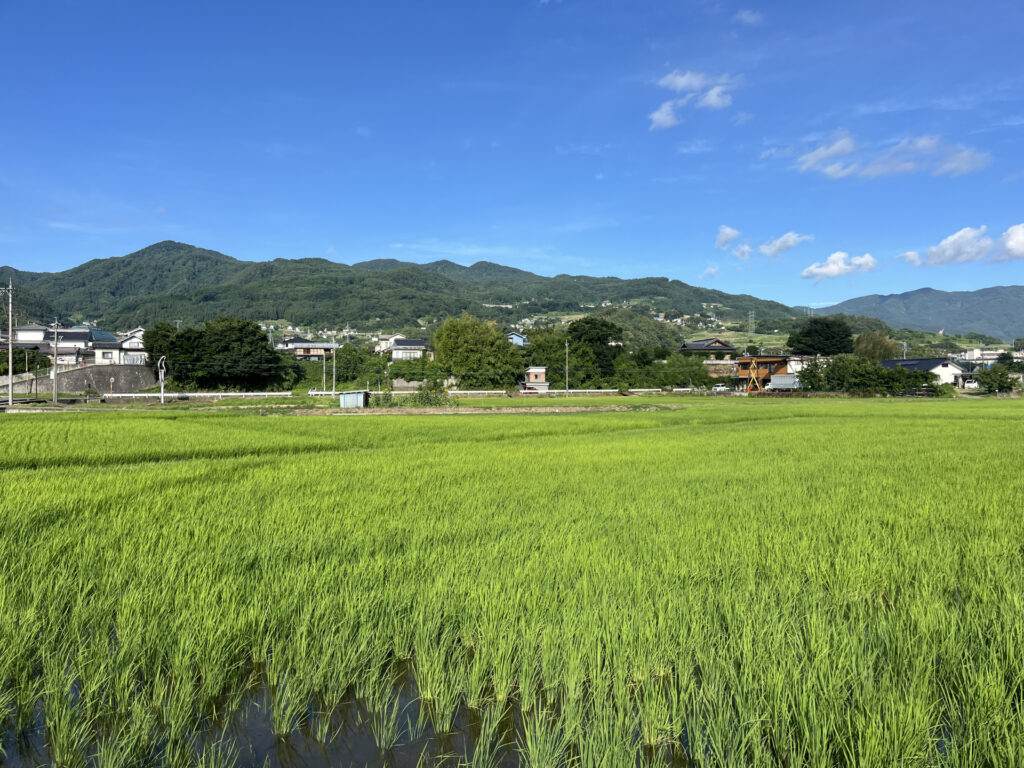 水稲では、田植え機やコンバインなど専用機械が広く使われている