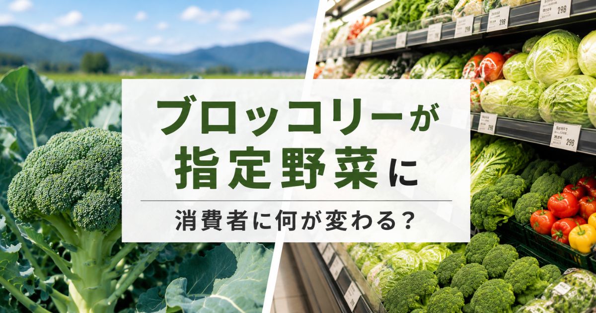ブロッコリーが指定野菜になったことで消費者にどんな影響があるのかを解説するアイキャッチ画像