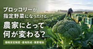 ブロッコリーが指定野菜になったことで農家への影響を解説するイメージ
