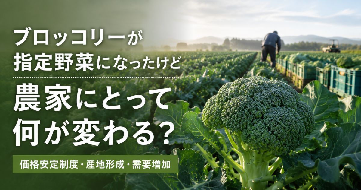 ブロッコリーが指定野菜になったことで農家への影響を解説するイメージ