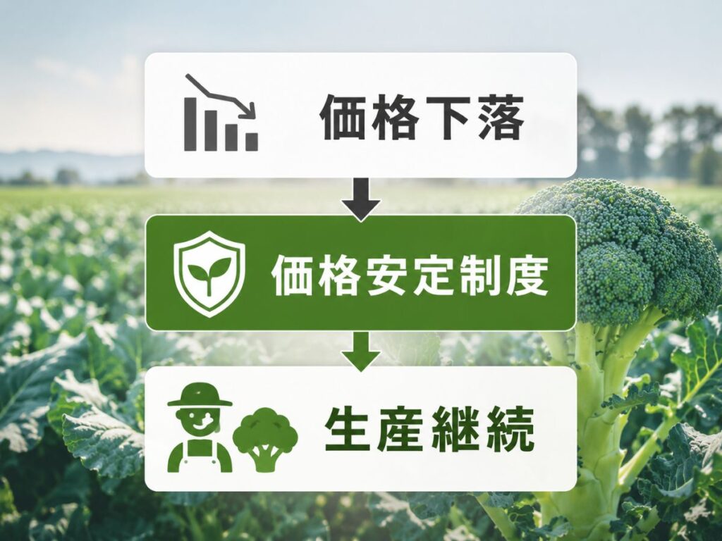ブロッコリーの価格安定制度と生産継続の仕組みイメージ