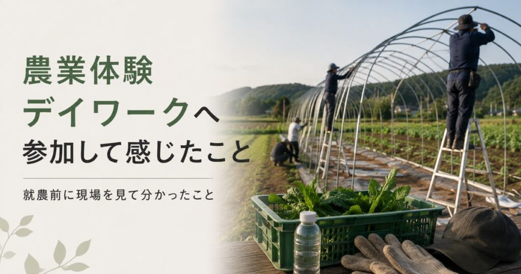 農業体験デイワークへ参加して感じたこと｜就農前に現場を見て分かったこと
