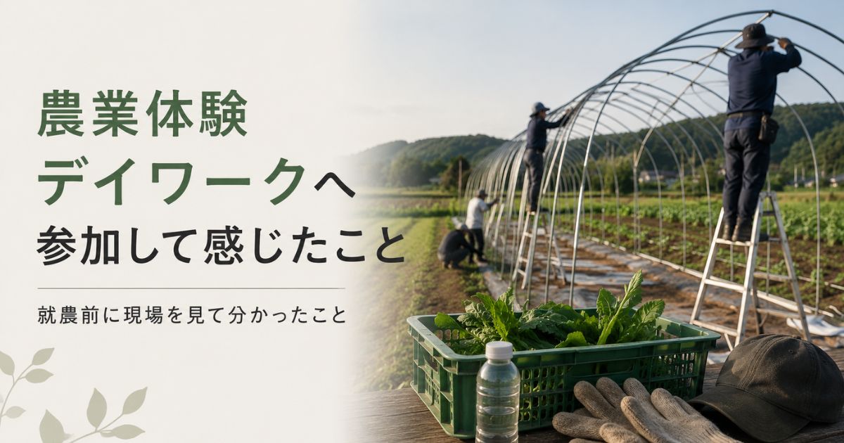 農業体験デイワークへ参加して感じたこと｜就農前に現場を見て分かったこと