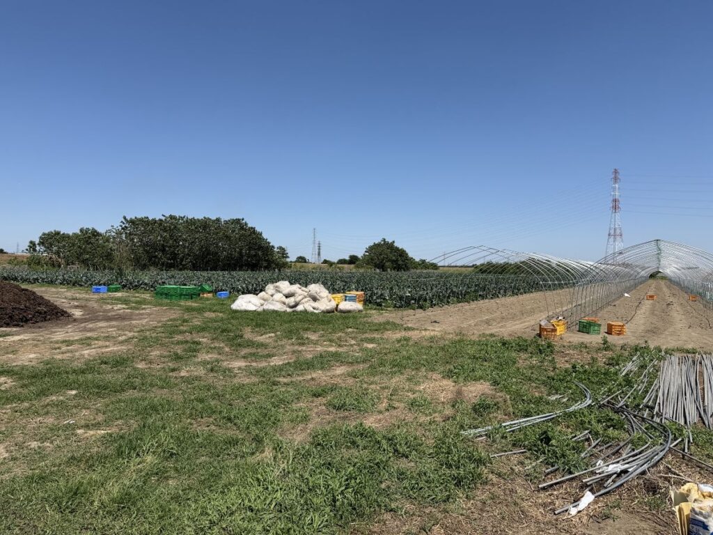 農業体験デイワークで訪れた農地とハウス設営前の様子