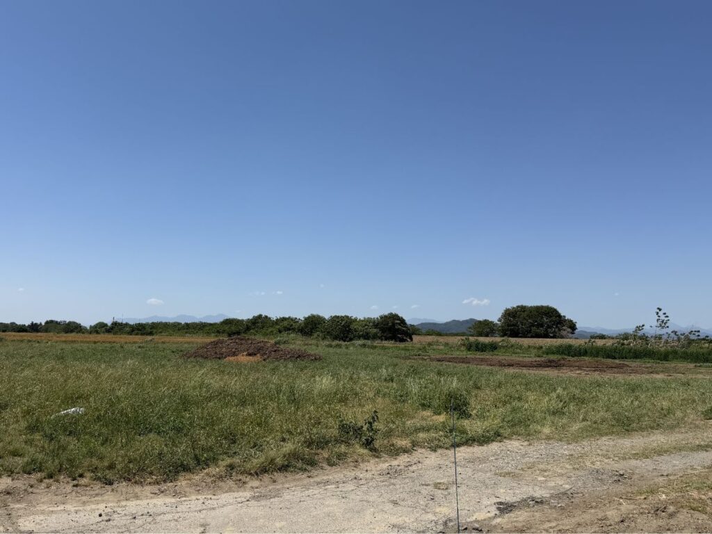 農業体験デイワークで見た農地周辺の風景