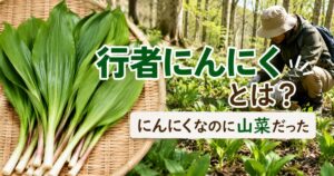 行者にんにくとは？にんにくなのに山菜だったことを解説するアイキャッチ画像