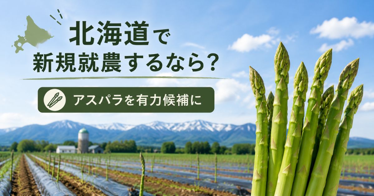 北海道で新規就農するならアスパラを有力候補に考える理由を解説するアイキャッチ画像