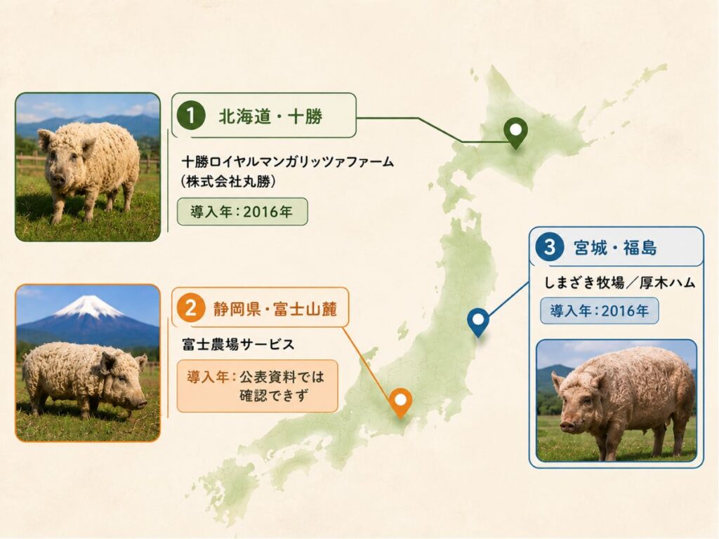 日本国内で確認できた主なマンガリッツァ豚の飼育拠点をまとめた図