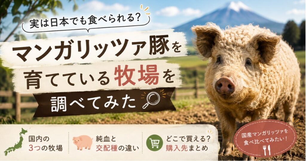 日本でマンガリッツァ豚を育てている牧場や購入先を紹介するアイキャッチ画像