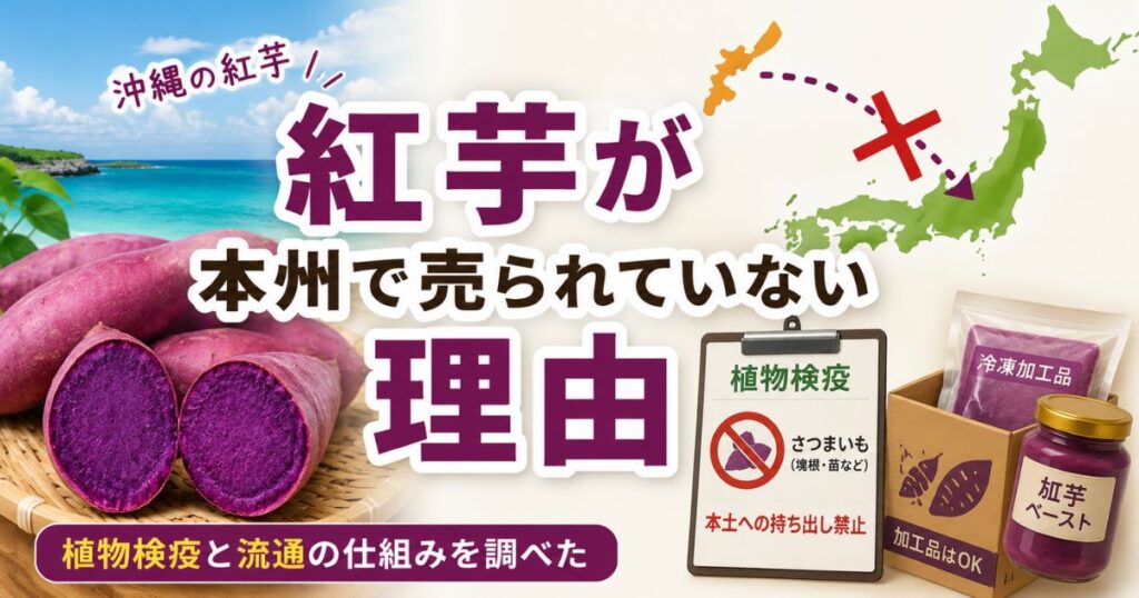 沖縄の紅芋が本州で売られていない理由と植物検疫の仕組みを解説するイメージ画像