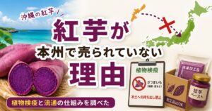 沖縄の紅芋が本州で売られていない理由と植物検疫の仕組みを解説するイメージ画像