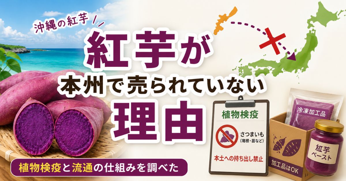 沖縄の紅芋が本州で売られていない理由と植物検疫の仕組みを解説するイメージ画像