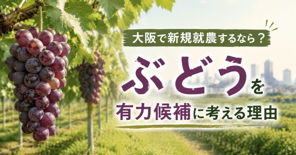 大阪で新規就農するならぶどうを有力候補に考える理由