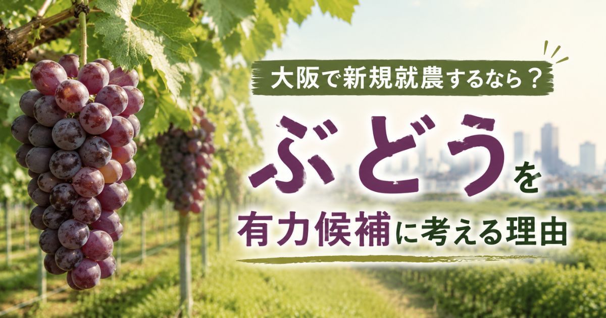 大阪で新規就農するならぶどうを有力候補に考える理由