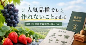 人気品種でも作れないことがある｜種苗法と品種登録制度のイメージ