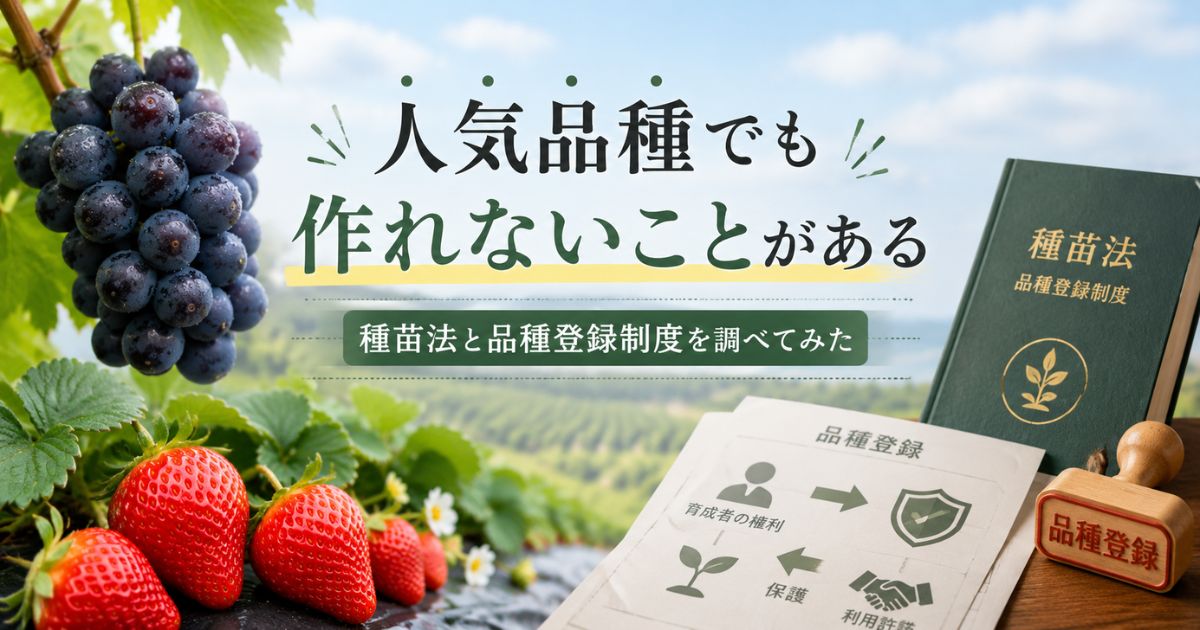 人気品種でも作れないことがある｜種苗法と品種登録制度のイメージ
