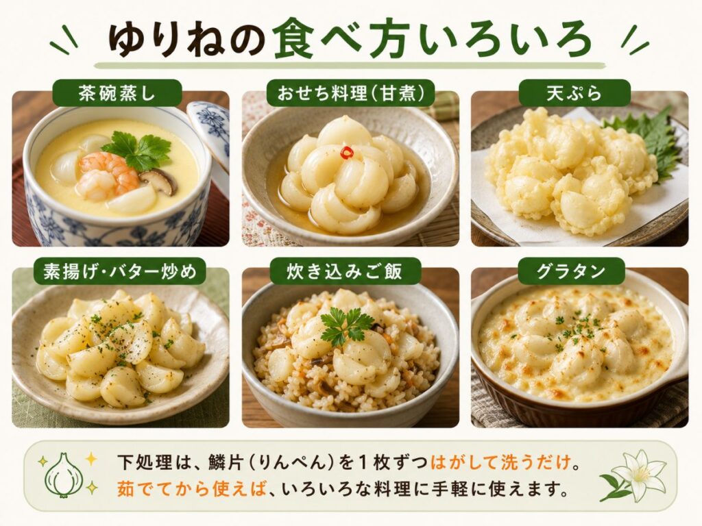 ゆりねの食べ方を紹介する図解。茶碗蒸し、甘煮、天ぷら、素揚げ、炊き込みご飯、グラタンなどを掲載。