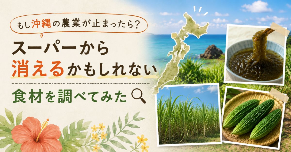 もし沖縄の農業が止まったらスーパーから消えるかもしれない食材を紹介するアイキャッチ。モズク・さとうきび・ゴーヤーを掲載。