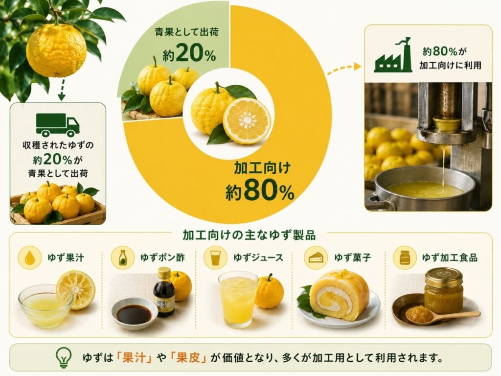 高知県産ゆずの約20%が青果出荷で約80%が加工向けとなる構成