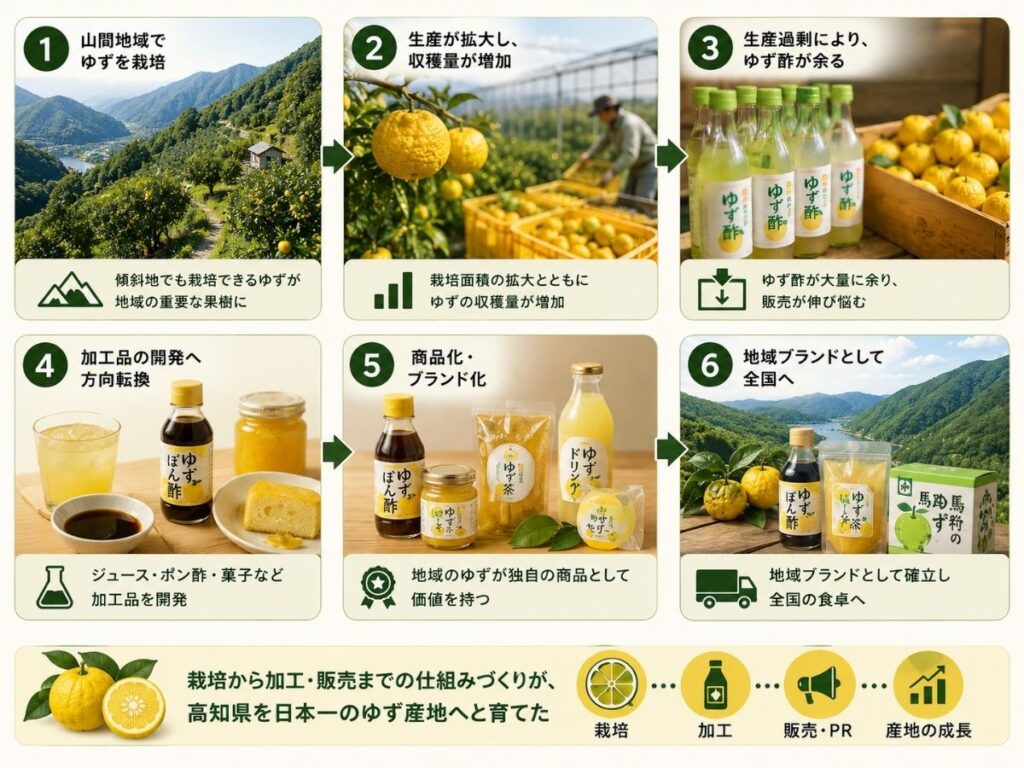 高知県で山間栽培から加工・ブランド化が進み日本一のゆず産地になった流れ