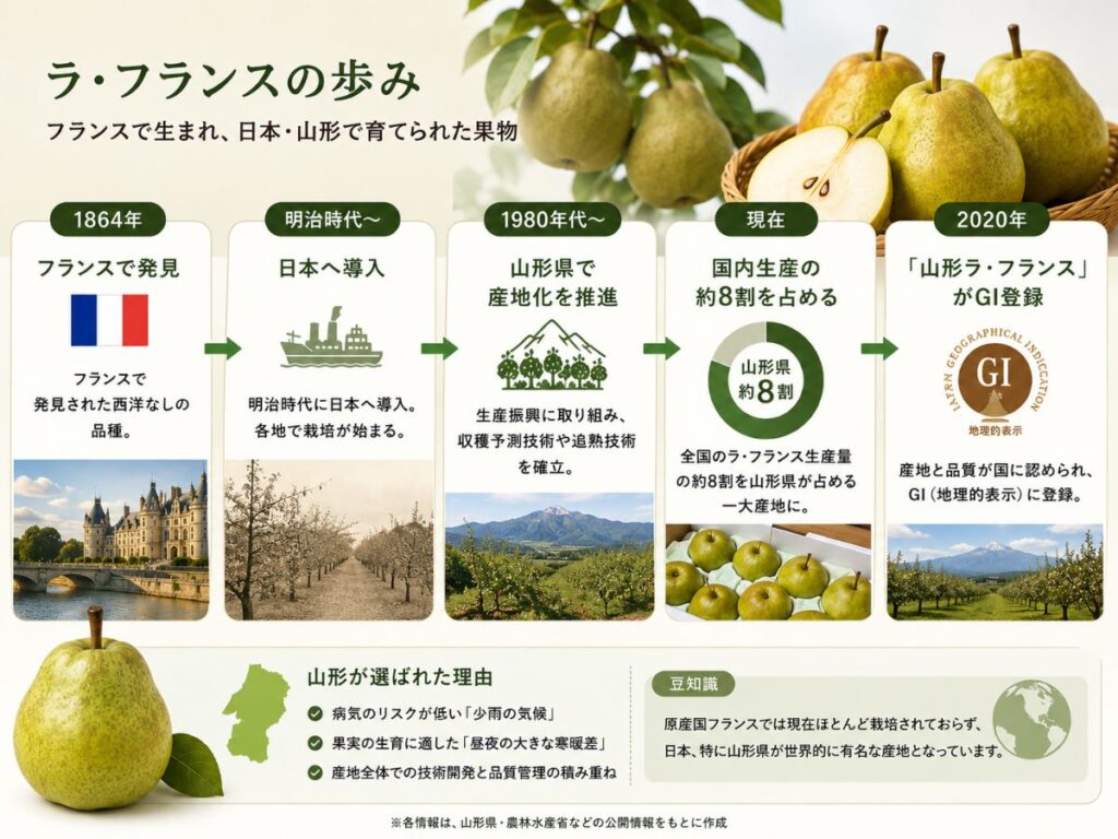 1864年のフランスでの発見から日本への導入、山形県での産地化、GI登録までラ・フランスの歩みを示した図