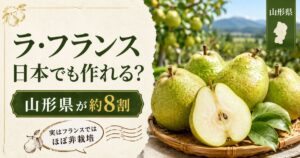 ラ・フランスが日本でも栽培され、国内生産の約8割を山形県が占めることを紹介するアイキャッチ画像