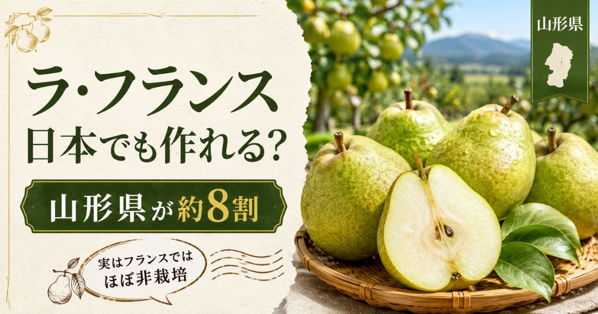ラ・フランスが日本でも栽培され、国内生産の約8割を山形県が占めることを紹介するアイキャッチ画像