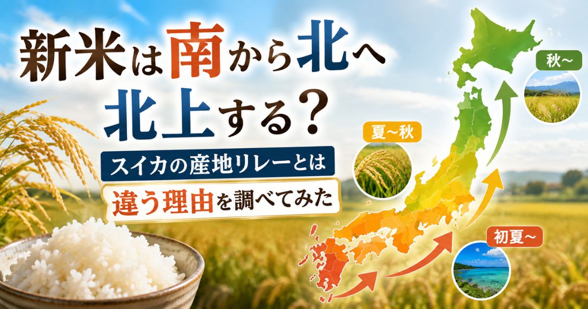 沖縄から北海道へ新米の収穫・出荷時期が北上する「新米前線」を表したアイキャッチ画像