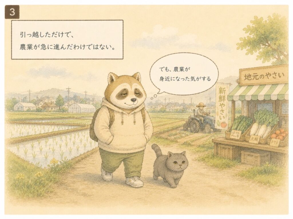 大阪へ引っ越して農業や地元野菜が身近になったアナグマと猫