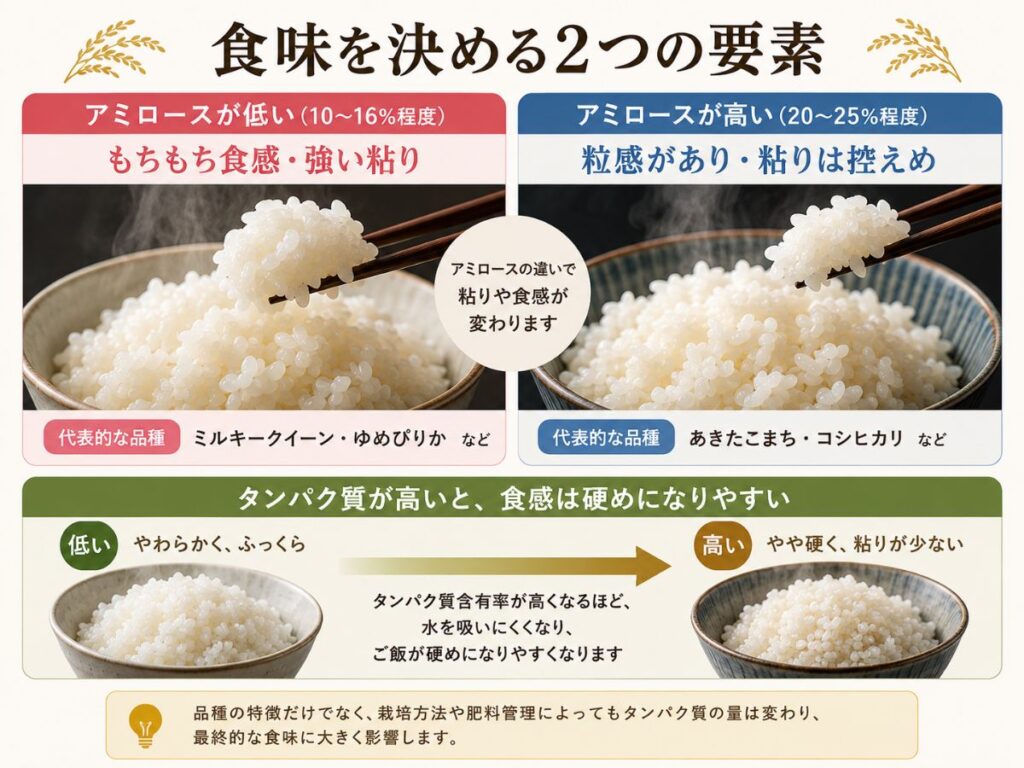 米のアミロース含有率とタンパク質含有率が粘りや硬さなどの食味に与える違いを示した図
