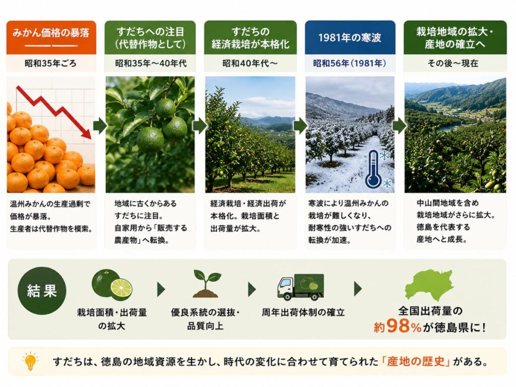 徳島ですだちの経済栽培が拡大し全国出荷量98％に至る流れ