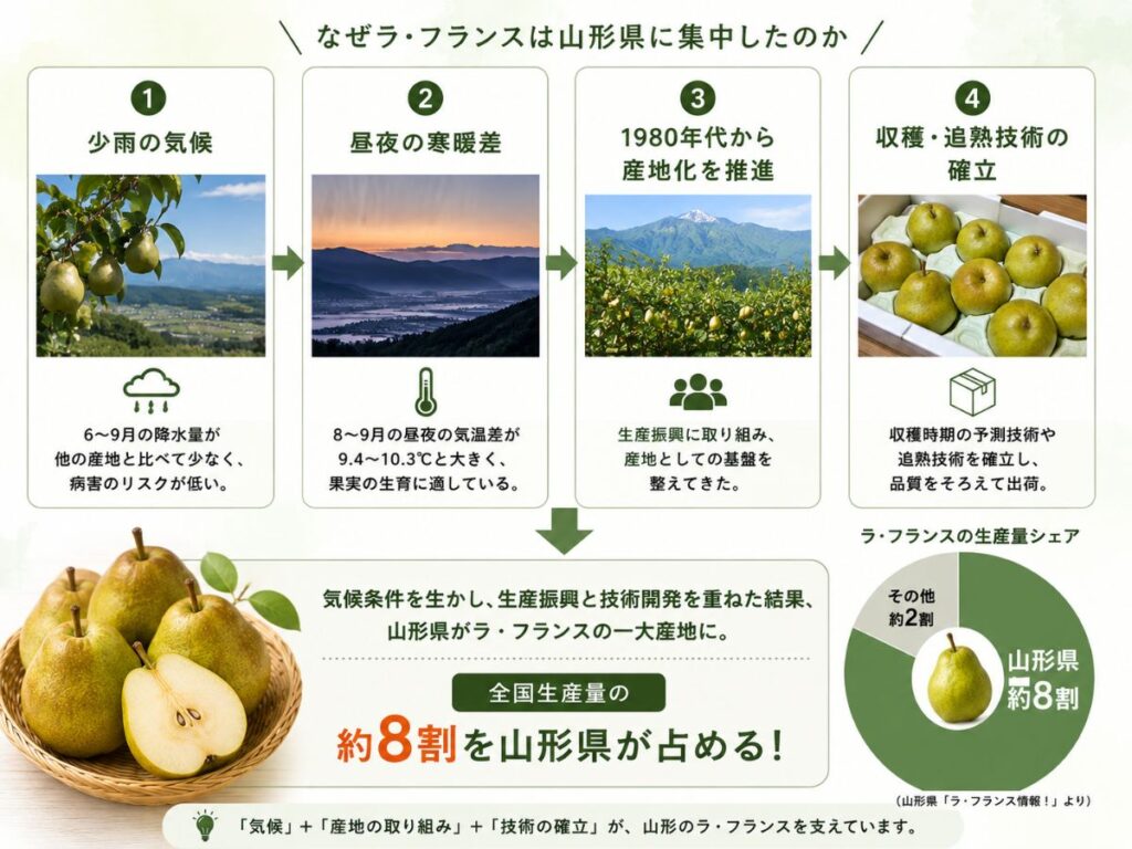 少雨の気候や昼夜の寒暖差、産地化、収穫・追熟技術の確立などラ・フランスが山形県に集中した理由を示した図