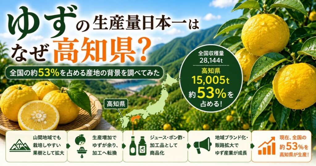 高知県が全国のゆず収穫量の約53％を占め生産量日本一になった背景