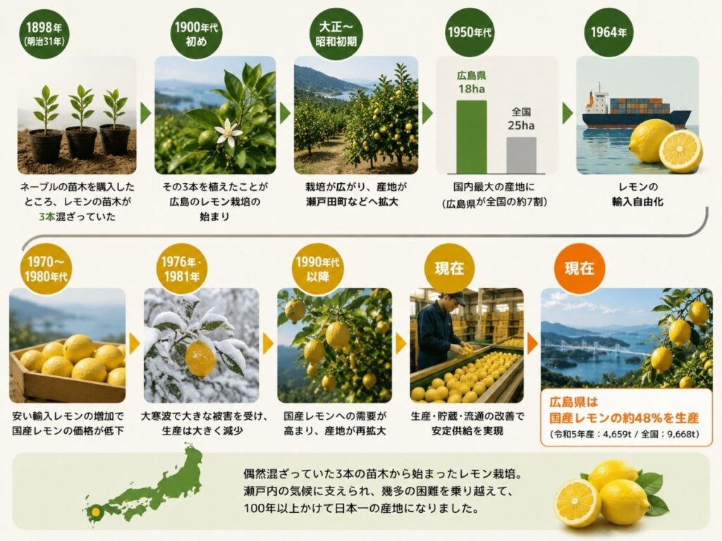1898年の3本の苗木から始まり広島県が国産レモン最大産地になるまでの流れ