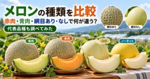 メロンの赤肉・青肉・白肉とネットあり・ネットなしの違い、代表品種を比較したアイキャッチ画像