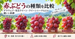 赤ぶどうの種類とデラウェア・安芸クイーン・クイーンニーナなどの違いを紹介するアイキャッチ画像