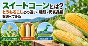 スイートコーンとは何か、とうもろこしとの違い・種類・代表品種を紹介するアイキャッチ画像