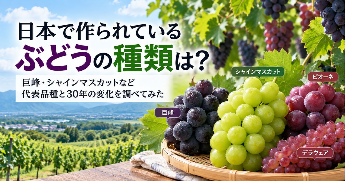日本で作られている代表的なぶどう品種と30年の変化を紹介するアイキャッチ画像